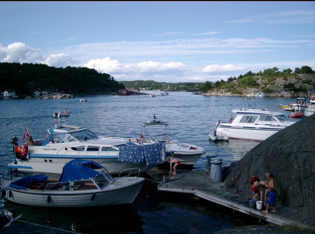 imgp0319.jpg