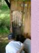 imgp0344_small.jpg