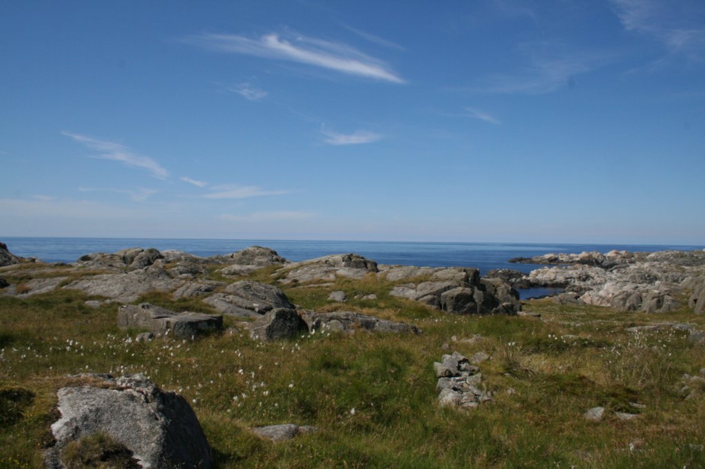 img_1114.jpg
