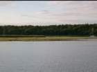 imgp0423_small.jpg