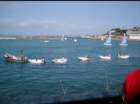 imgp0518_small.jpg