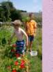 imgp0583_small.jpg